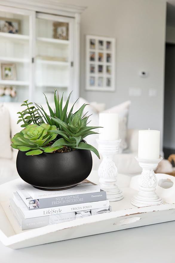 Fake Plants Artificial Succulents in Pots Faux Succulent Arrangement Potted Plant with Black Ceramic Pot for Home Decor Modern Office Desk Bathroom Shelf Living Room Indoor & Outdoor Decoration-VerdiqueGarden