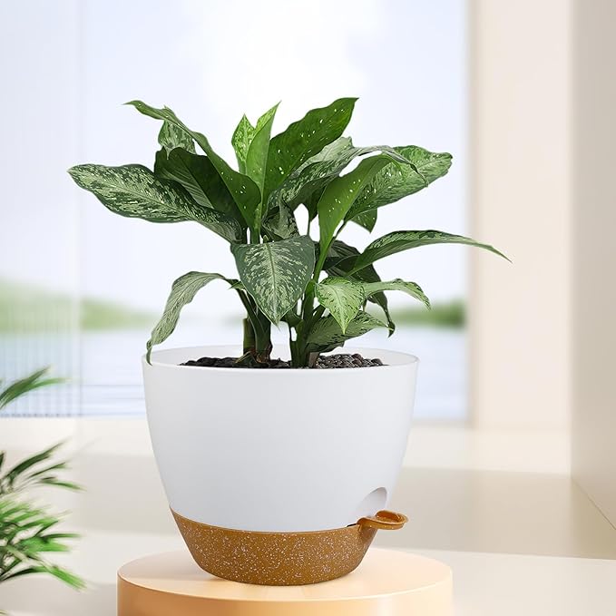 12 inch Large Self Watering Pots for Indoor Outdoor Plants, Plant Pots with Mesh Drainage Holes for Garden House Plants, Plastic Planters with Reservoir for Flower Plants, White with Brown-VerdiqueGarden