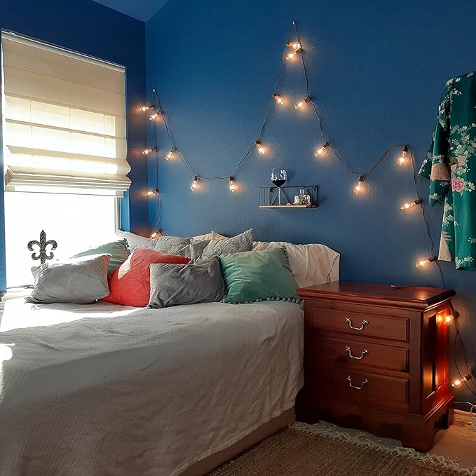 10Ft Outdoor String Lights Waterproof, Hanging Patio Lights with 11 Edison Bulbs (1 Spare), ST40 Vintage Edison Bulbs String Lights for Indoor Garden Backyard Party Wedding Balcony Decor- Black-VerdiqueGarden