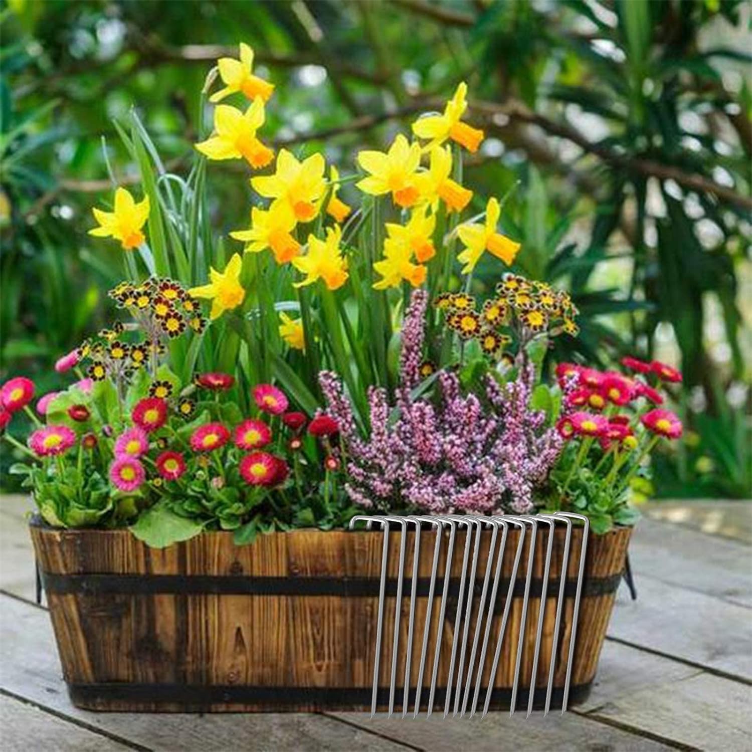 12 Inch Galvanized Garden Landscape Staples Stakes, 25 50 100 PCS Anti-Rust Garden Staples U-Shaped Landscape Pins for Secure Lawn Fabric (100, 12 Inch)-VerdiqueGarden