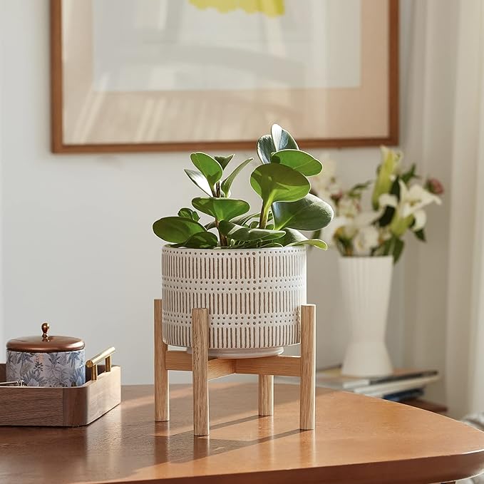 LA JOLIE MUSE Ceramic Plant Pot with Wood Stand - 7.3 Inch Modern Round Decorative Flower Pot Indoor with Wood Planter Holder, Beige and White-VerdiqueGarden