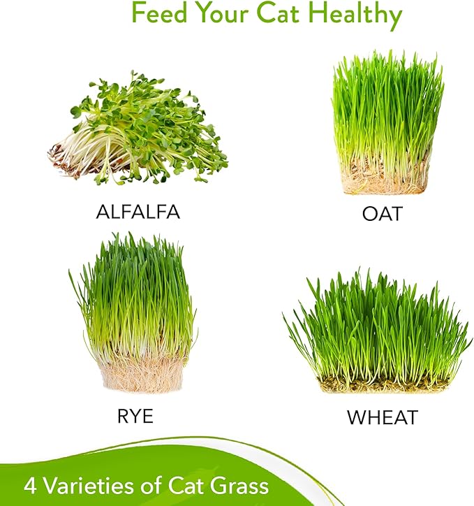 HOME GROWN Cat Grass Seed Mix – Non-GMO Oat, Alfalfa, Rye & Wheat Seeds for Cats | Indoor Pet Grass with Fast Germination | Digestive Aid, Hairball Relief & Safe Chew Alternative-VerdiqueGarden