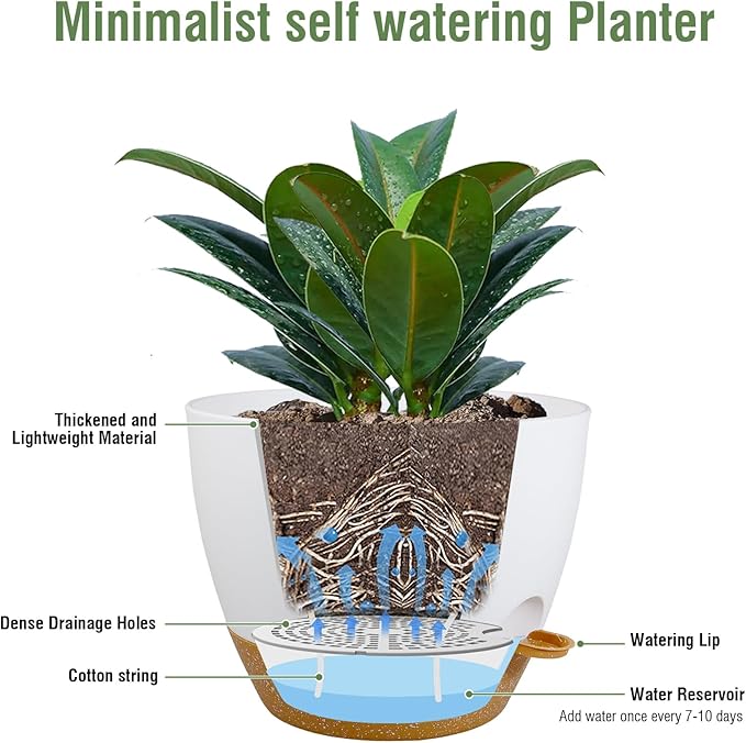 12 inch Large Self Watering Pots for Indoor Outdoor Plants, Plant Pots with Mesh Drainage Holes for Garden House Plants, Plastic Planters with Reservoir for Flower Plants, White with Brown-VerdiqueGarden