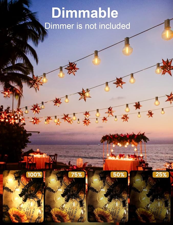 RTTY Outdoor String Lights 100 FT Globe LED Patio Lights with G40 Plastic Bulbs,Waterproof Shatterproof Dimmable Connectable Hanging for Backyard Porch Balcony Party Cafe Deck Decor-VerdiqueGarden