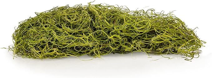 Premium Spanish Moss in Spring Green| Natural Preserved - Great Ground Cover - Filler for Potted Plants - by GARDENERA - 2 Quart Bag-VerdiqueGarden
