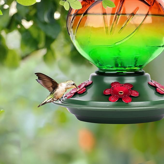BOLITE Hummingbird Feeder, Glass Hummingbird Feeders for Outdoors Hanging, 22 Ounce, Five Feeding Ports with Perch, Peony Flower Shape, Orange and Green, Gifts for Women Men, Gifts for Mom Dad-VerdiqueGarden