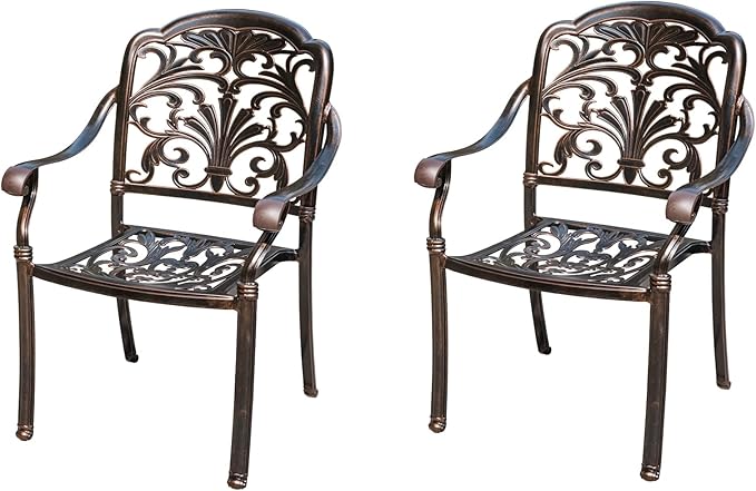 Outdoor Dining Chair Cast Aluminum Patio Chairs Set of 2 All-Weather Patio Dining Chair with Adjustable Feet for Backyard Garden (Violet Chair)-VerdiqueGarden