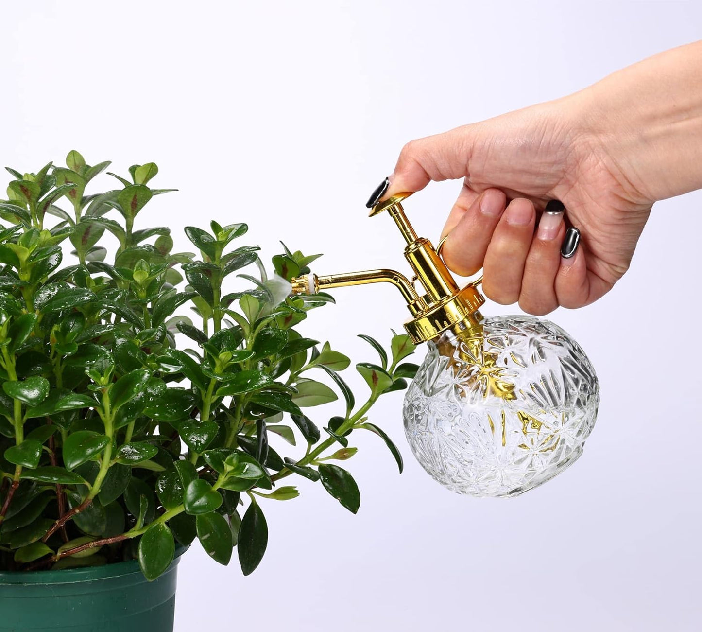 Glass Plant Mister Spray Bottle, 6.5" Clear Glass Water Spray Bottle with Gold Top Pump Small Watering Can, Small Plant Sprayer Mister for Indoor Outdoor House(Clear+Gold E)-VerdiqueGarden