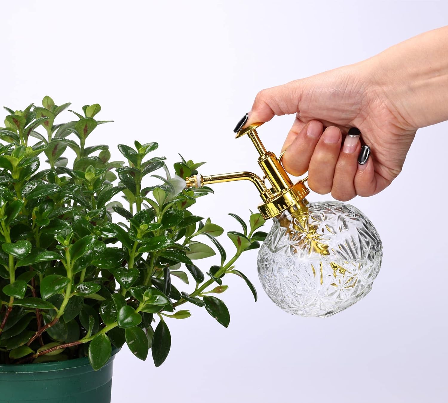 Glass Plant Mister Spray Bottle, 6.5" Clear Glass Water Spray Bottle with Gold Top Pump Small Watering Can, Small Plant Sprayer Mister for Indoor Outdoor House(Clear+Gold E)-VerdiqueGarden