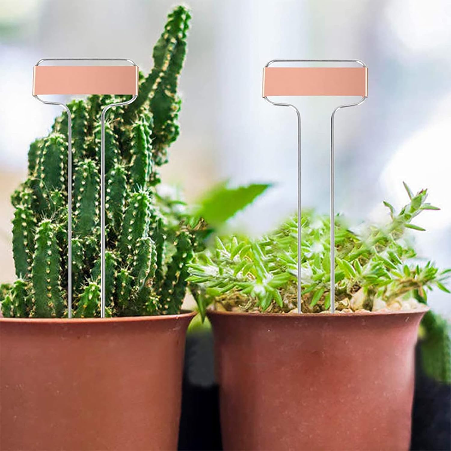 Foraineam 30 Pack 10 Inch High Copper Plate Metal Plant Labels Garden Stake Tags Reusable Planting Gardening Markers-VerdiqueGarden