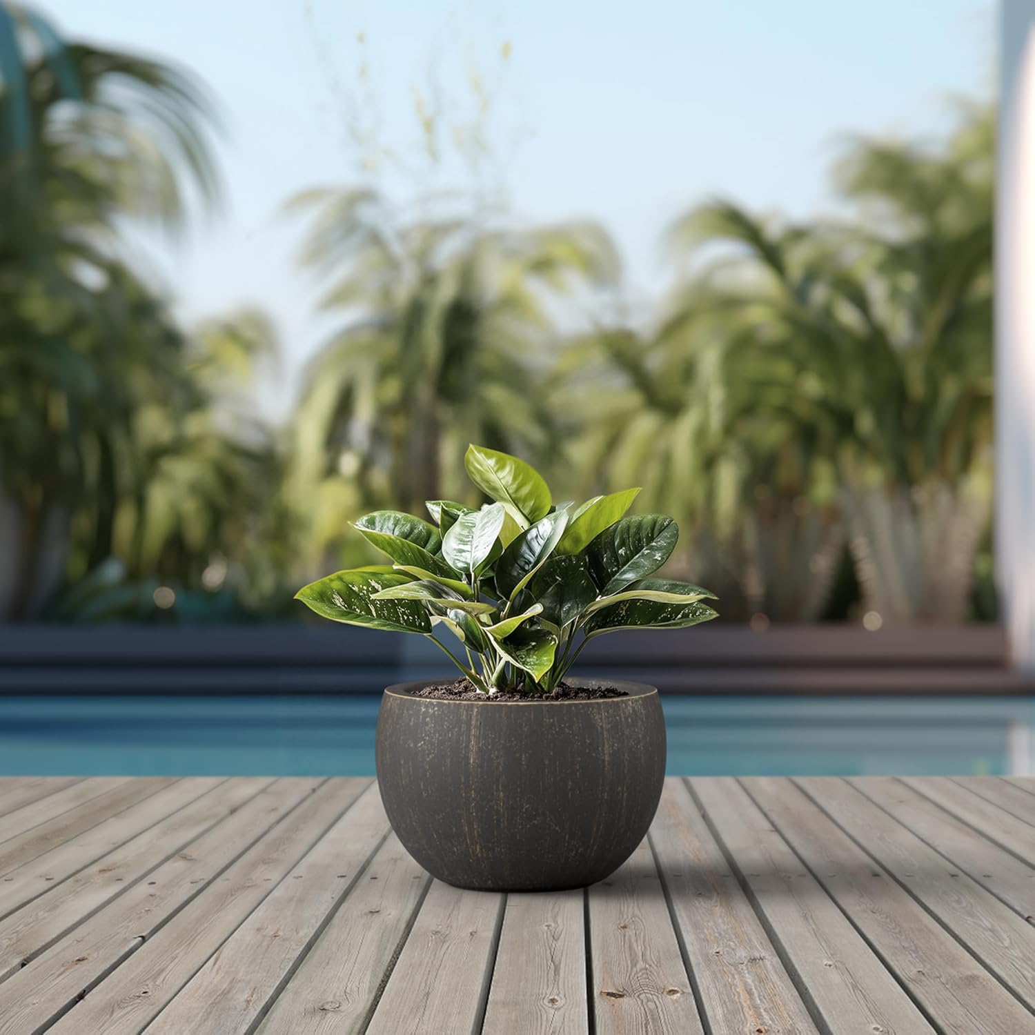Kante 19.9" Dia Round Concrete Planter, Outdoor/Indoor Large Bowl Plant Pots with Drainage Hole and Rubber Plug for Garden Patio Balcony Home, Oil Rubbed Bronze-VerdiqueGarden