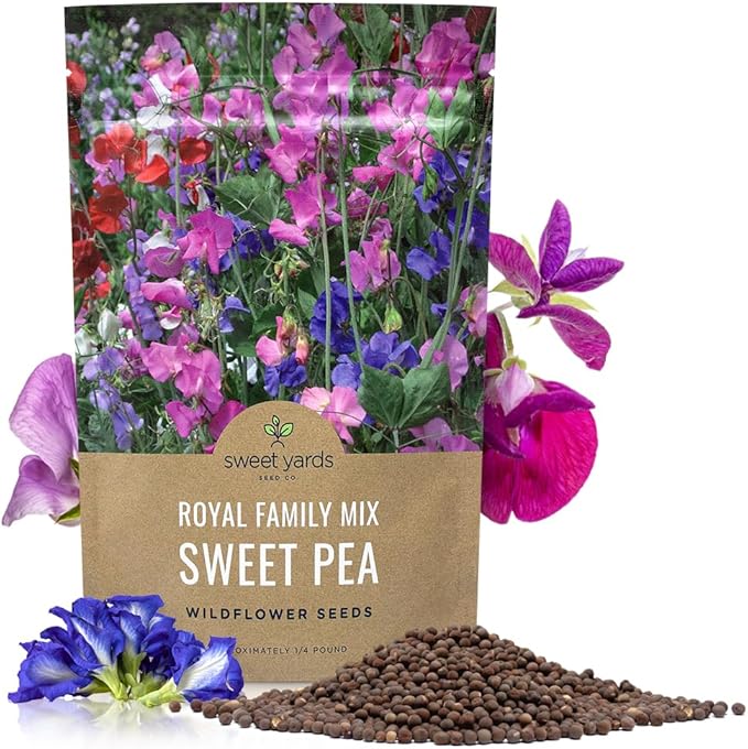 Sweet Pea Seeds Royal Mix - Bulk 1/4 Pound Bag - Over 1,400 Seeds - Large Fragrant Lavender, Purple, Red, Pink and White Blooms-VerdiqueGarden