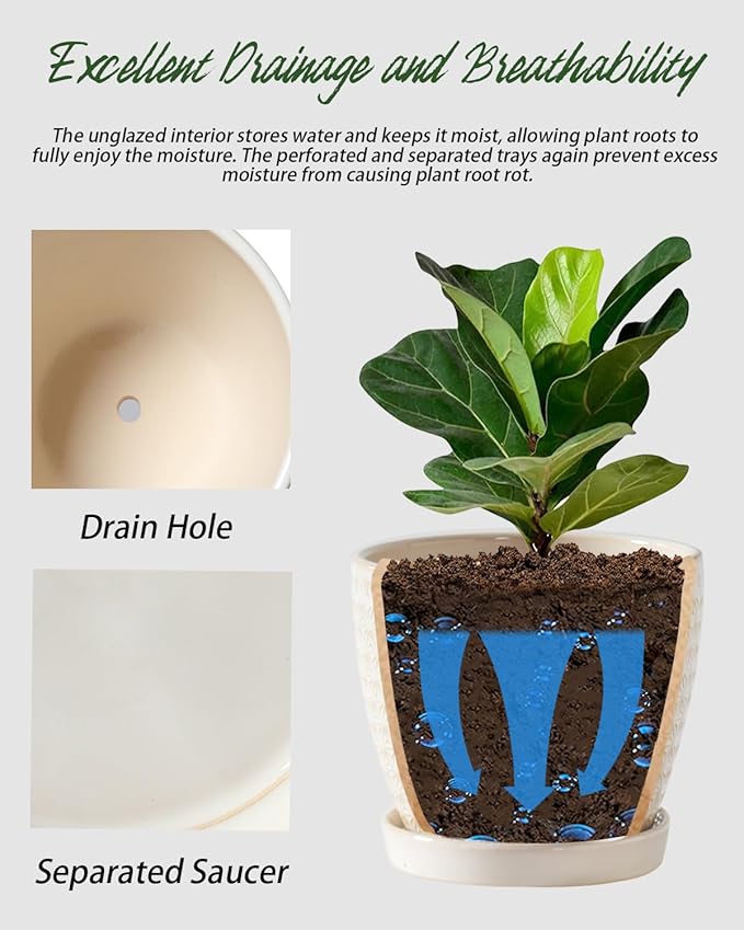 Plant Pots, Flower Pots, Planters for Indoor Plants(6.5+5.5inch), Flower Pots for Indoor Plants with Drainage Hole and Saucer, Ceramic Pots for Plants with Hole Mesh Pad,Reactive Glaze White-VerdiqueGarden