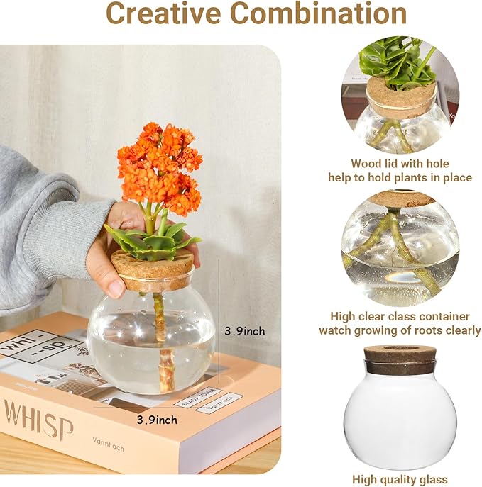 Plant Propagation Station,Hydroponic Terrarium Vase,Desktop Glass Planter Station,for Houses,Garden Decorations,ropagating Hydroponic Plants,Centerpiece Office,Home Garden Decor (2)-VerdiqueGarden