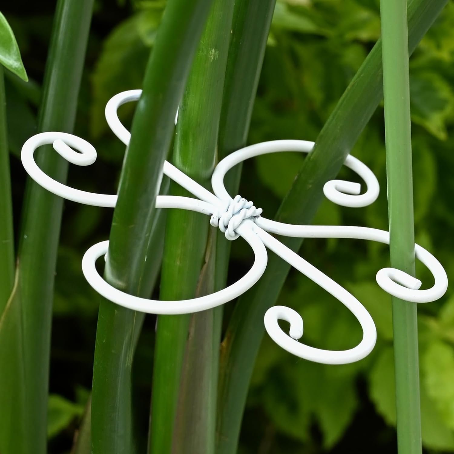 5PCS Monstera Plant Support Hook White 4.1 * 4.1 Inch – Set of 5 Durable Metal Stem Stabilizer Clips & Soft Grip Leaf Holders for Healthy Growth of Monstera & Fishbone Cactus-VerdiqueGarden