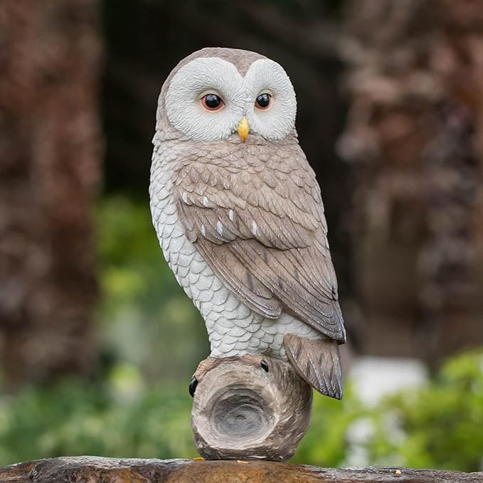 Owl Outdoor Statues Garden Yard - Decoration Home Decor Indoor Desk Tabletop Collectible Figurines Ancient Retro Collection 11" x4.5" x5 Inch-VerdiqueGarden