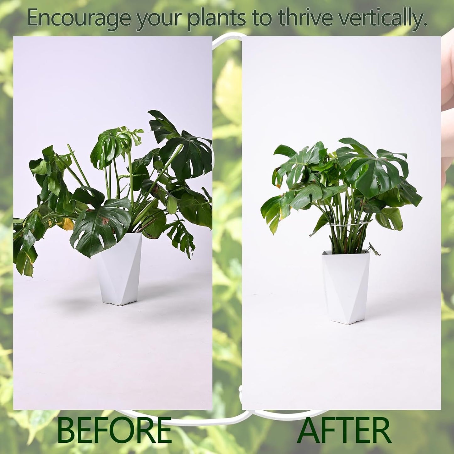 5PCS Monstera Plant Stem Support White - 11x9.4 inches, Durable Adjustable Leaf Supports for Indoor Plants, Fishbone Cactus Stake Holder for Garden Stability-VerdiqueGarden