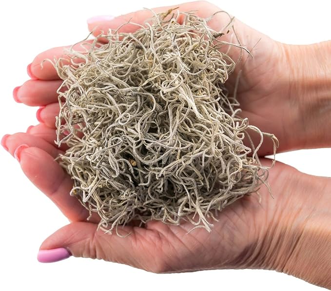 Premium Natural Spanish Moss | Natural Preserved - 20 Quart - Great Ground Cover - Filler for Potted Plants (4 Bags of 5 Quart)-VerdiqueGarden