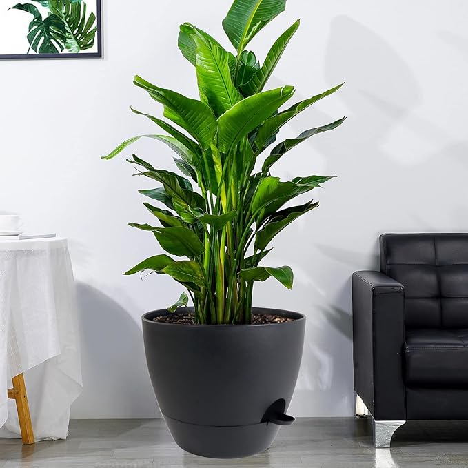 12 inch Large Self Watering Pots, Plastic Planters with 60oZ Removable Deep Reservoir and Multi Mesh Drainage Holes for Indoor Outdoor Garden Plants and Flowers, Black-VerdiqueGarden