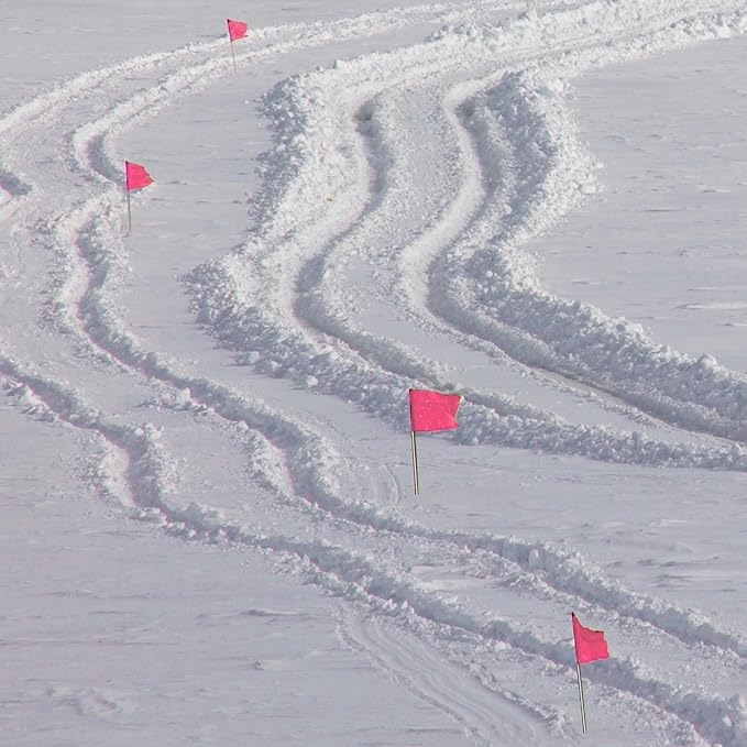 Zozen 100Pack Fluorescent Pink Marking Flags, Writable/15x4x5 Inch, Yard Flags for Lawn & Irrigation & Landscape & Sprinkler & Survey & Dog Training.-VerdiqueGarden