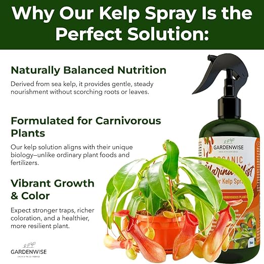 100% Organic Marina Mist Carnivorous Plant Food | Liquid Kelp Foliar Spray for Plants - Kelp Fertilizer for Venus Flytraps, Sundew, Butterworts, Pitcher Plants 8 Oz-VerdiqueGarden