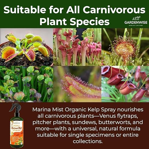 100% Organic Marina Mist Carnivorous Plant Food | Liquid Kelp Foliar Spray for Plants - Kelp Fertilizer for Venus Flytraps, Sundew, Butterworts, Pitcher Plants 16 Oz-VerdiqueGarden