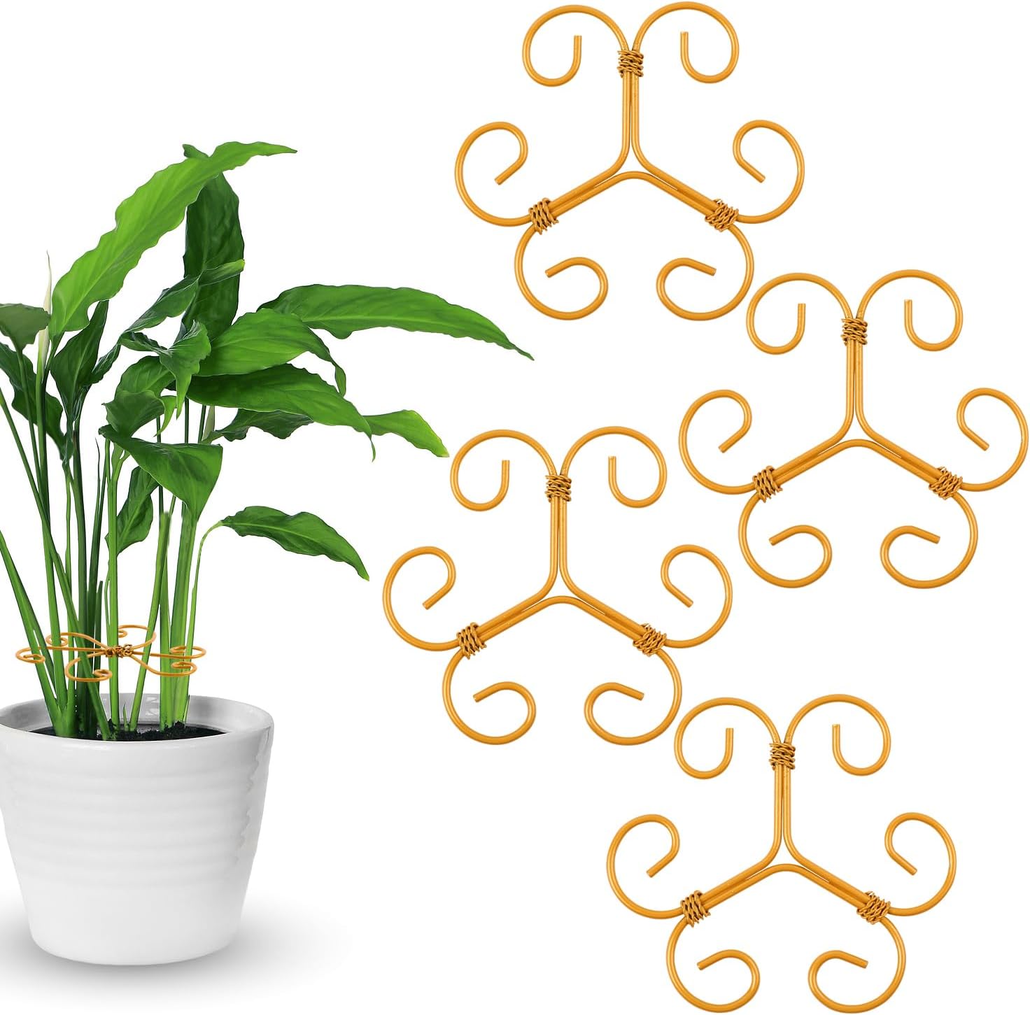 4-Pack Plant Stem Support, Plant Stabilizer for Indoor Plants, Monstera Plant Support System, Plant Stem Holder for Fixing Green Plants and Vines (B)-VerdiqueGarden