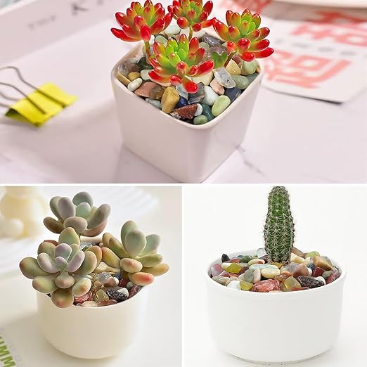 10LB Colorful Pebbles for Succulent, 3/8 Inch Natural River Rocks for Plants, Natural Decorative Polished Pebbles for Cactus,Vases, Planters,Outdoor Gardening and Indoor Plants-VerdiqueGarden