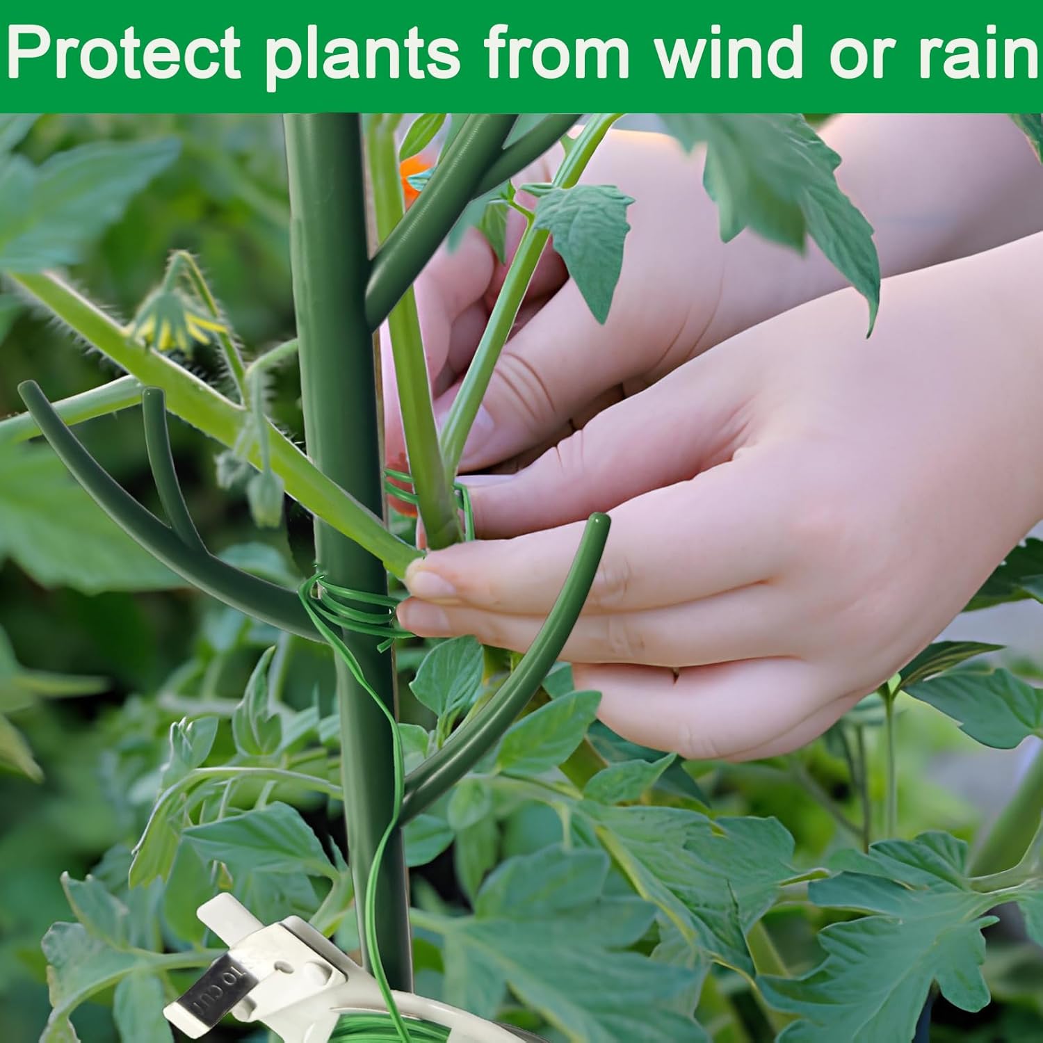 Orgrimmar 6 Pack Monstera Plant Support Stakes Adjustable Length with Green Ties for Indoor Outdoor Climbing Plants-VerdiqueGarden