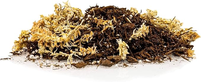 Premium Orchid Mix by GARDENERA | Fern + New Zealand Pine Bark + Sphagnum Moss + Perlite | Best for Growing and Repotting Orchids - 2 Quart Bag-VerdiqueGarden