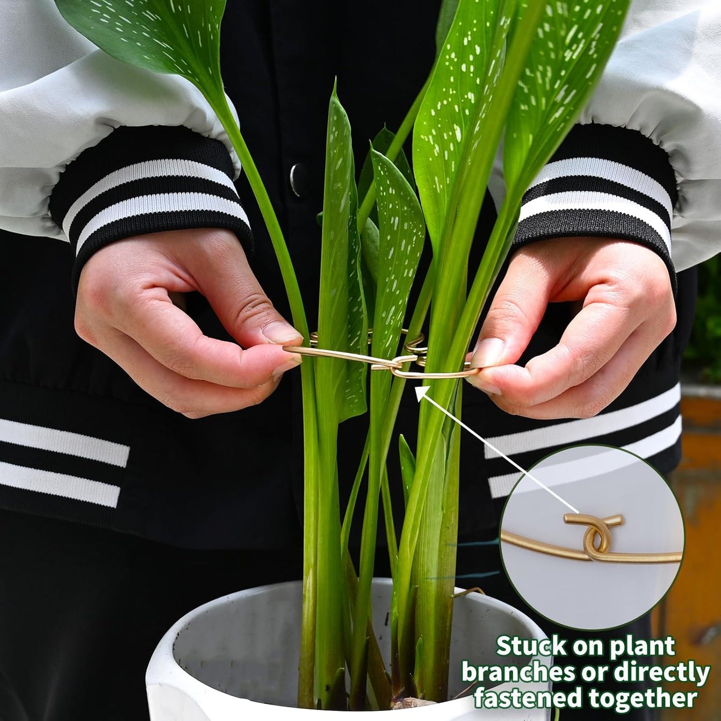 5Pcs Monstera Stem Support for Indoor Plants - 4.13 * 2.95 in- Durable Plant Support Stake Holder & Adjustable Clamp Kit for Monstera and Climbing Plants for Gardening Enthusiasts-VerdiqueGarden