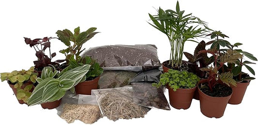 Hirt's Terrarium Kit with 10 Terrarium Plants in 2" Pots-VerdiqueGarden