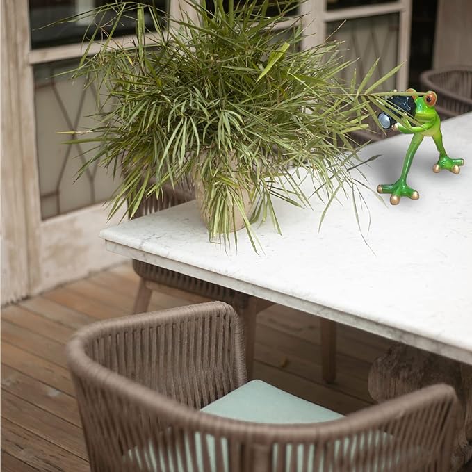 Outdoor Decor Garden Frogs Outdoor Decor Frog Gifts,Paparazzi Camera Decor,Frog Statues for Garden Frog Resin Crafts for Shelves Table Desk Decor-VerdiqueGarden