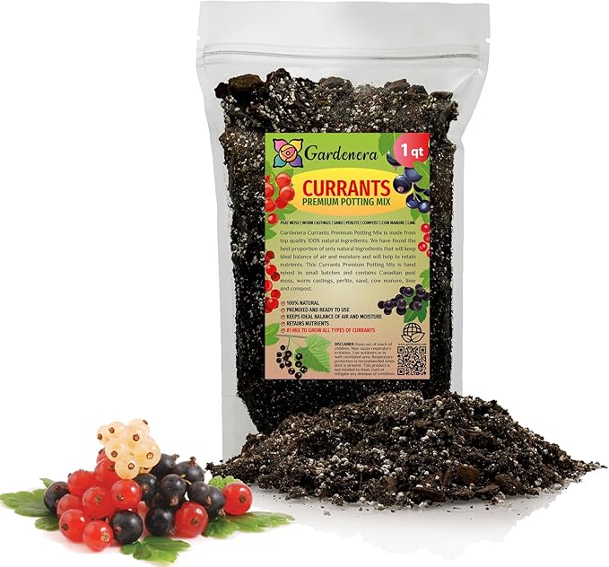 Premium Currant Plant Potting Soil Mix - Optimal Nutrient-Rich Blend for Thriving and Juicy Currants - 1 Quart-VerdiqueGarden