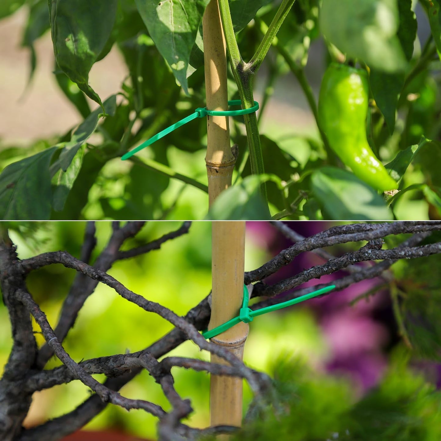 10 Inch Green Nylon Garden Zip Ties, 100 Pcs-VerdiqueGarden