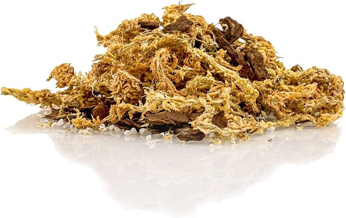 Premium Sphagnum Moss, Perlite and New Zealand Pine Bark Blend for Carnivorous Plants - 10 Quart - Perfect for Venus Fly Traps, Pitcher Plants, Sarracenia, Butterworts, and Sundews by GARDENERA-VerdiqueGarden