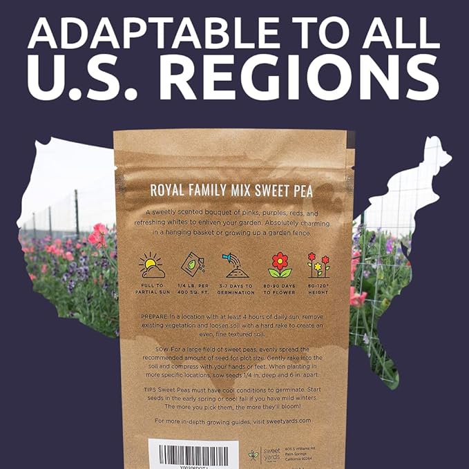 Sweet Pea Seeds Royal Mix - Bulk 1/4 Pound Bag - Over 1,400 Seeds - Large Fragrant Lavender, Purple, Red, Pink and White Blooms-VerdiqueGarden