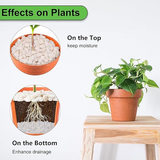 10 lbs White Garden Pebbles for Plants, 3/8" Small Plant Rocks for Pots Indoor, Decorative Pea Gravel for Succulents, Bamboo, Terrarium, Landscaping, Garden-VerdiqueGarden