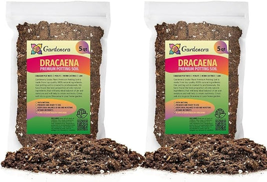Premium Dracaena Potting Soil Mix - (10 Quart Bag)-VerdiqueGarden