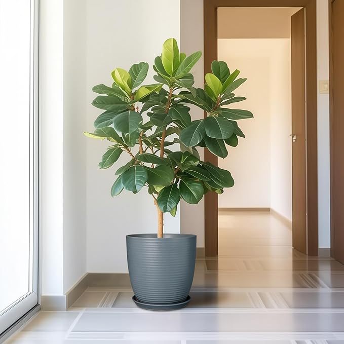 12 Inch Pots for Plants Ceramic Planter Pot Large Flower Pot with Drainage Hole and Saucer for Home Patio Garden Office Indoor Outdoor Gray-VerdiqueGarden