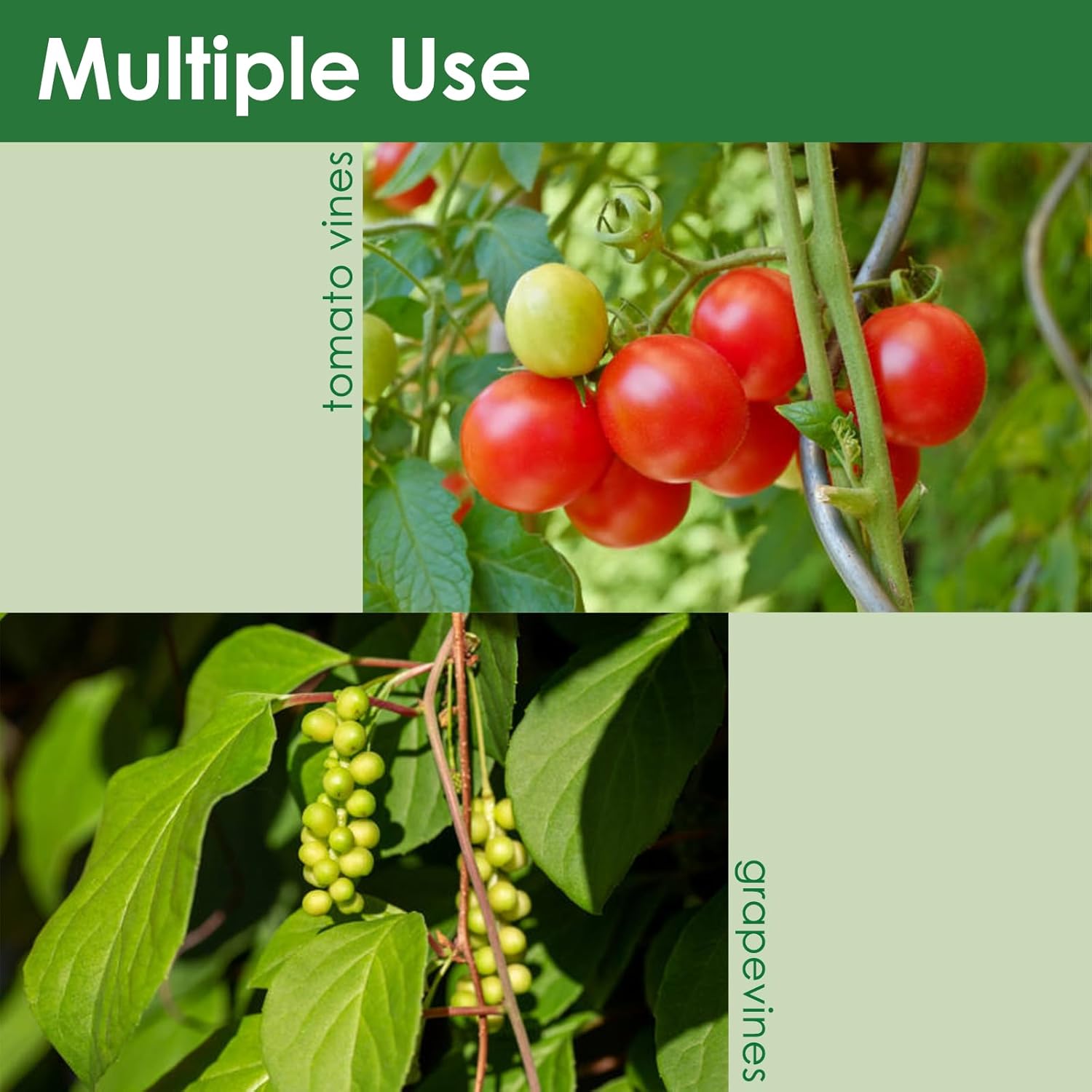 Soft Plant Tie Garden Plant Twist Tie TPR Plant Supply, for Supporting and Fixing Garden Planting Branches Vines, Stems, for Garden, Office, Home Organizing (164ft /3.5mm Diameter, Green)-VerdiqueGarden