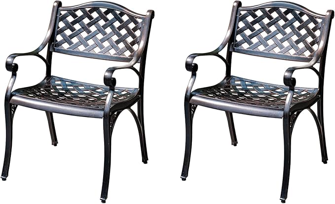 Outdoor Dining Chair Cast Aluminum Patio Chairs Set of 2 All-Weather Patio Dining Chair with Adjustable Feet for Backyard Garden (Die-Casting A Chair)-VerdiqueGarden