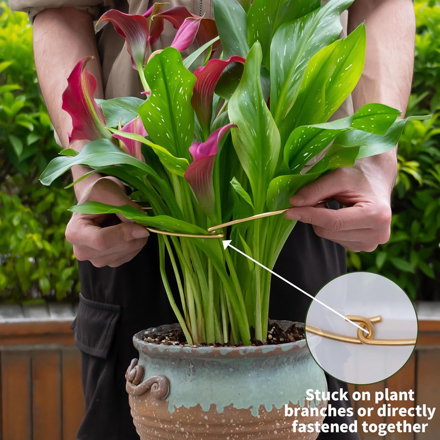 5PCS 11 * 9.4 Inch Monstera Plant Support Stem - Premium Adjustable Leaf Holder & Fishbone Cactus Stake, Durable Gardening Tool for Climbing Plants, Easy Installation & Enhanced Stability-VerdiqueGarden