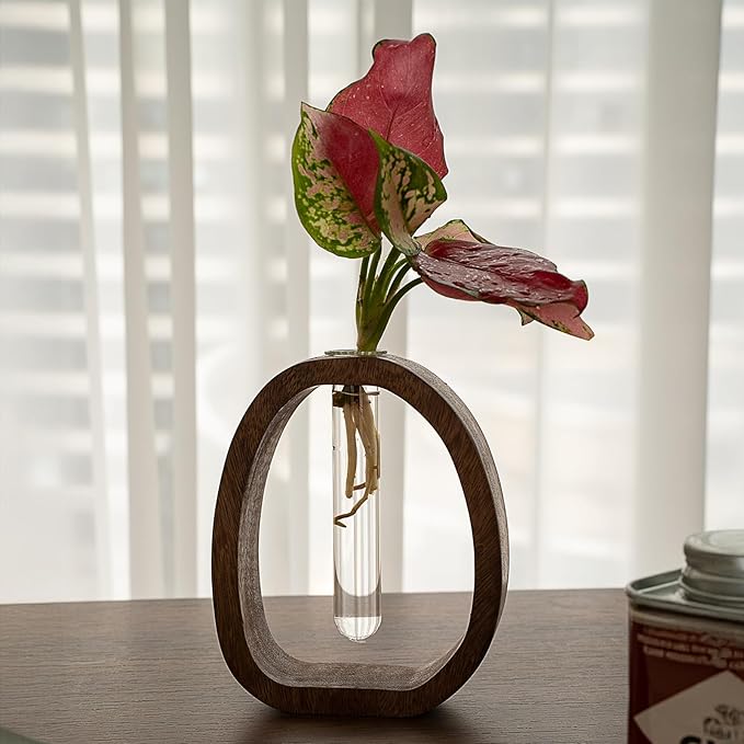 Modern Wooden Glass Test Tube Vase - Desk Plant Decor, Suitable for Home and Office Use-VerdiqueGarden