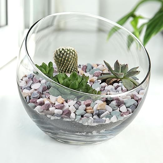 10 lbs Pea Gravel for Plants, Aquarium, Fish Tank, 3/8 inch Decorative Pebbles for Indoor Plants, Succulent, Bamboo, Vase, Drainage Rocks for Potted Plants, Top Dressing, Mixed Color-VerdiqueGarden