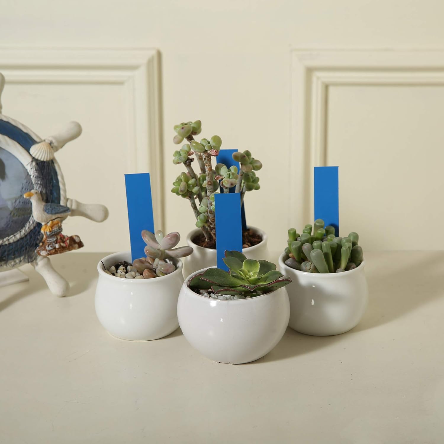 1000 Pcs 4 Inch Garden Plant Labels, Plastic Nursery Tags Waterproof Pot Seed Markers, Blue-VerdiqueGarden