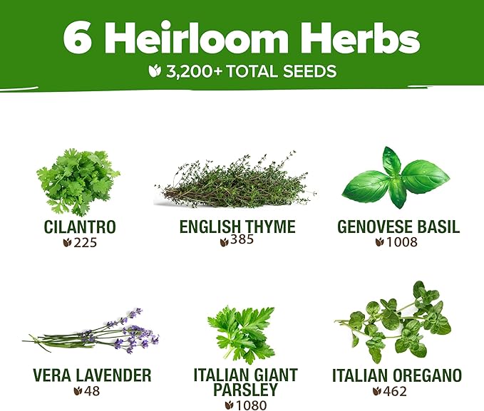 HOME GROWN 6 Herb Seeds for Planting 3,200+ Non-GMO Heirloom Seeds | Extra Large Variety Pack Herb Kit – Indoor Outdoor & Hydroponic | Culinary Seed Set | Grow Your Own Herbs | Gift for Beginners-VerdiqueGarden