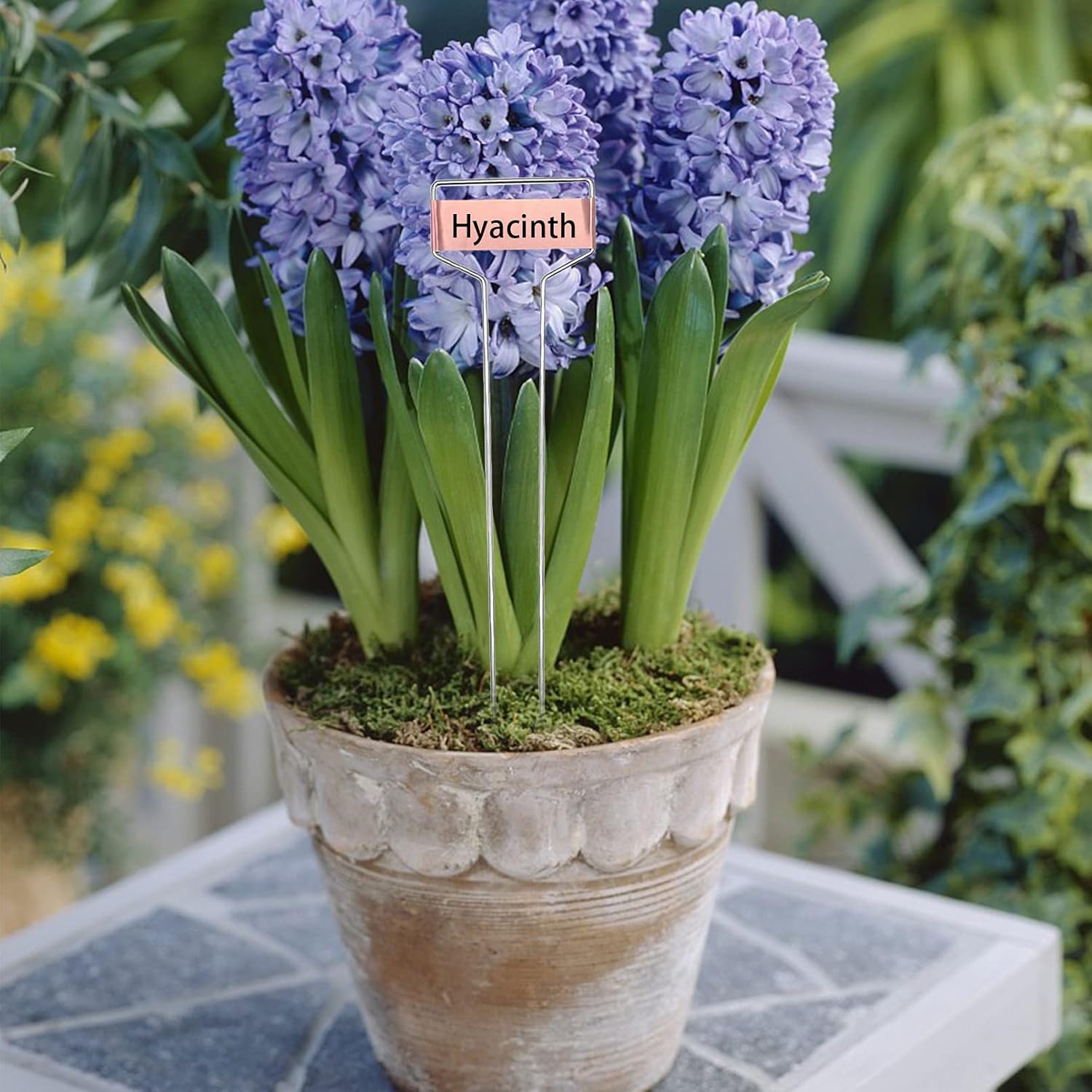 Wehhbtye 20 PCS 10 Inch Metal Plant Label Stakes-Copper Metal Plant Tags,High Copper Plate Plant Labels,Coppers Plant Tags with 1 Maker Pen for Flowers, Vegetables, Seedlings, Seed,etc-VerdiqueGarden