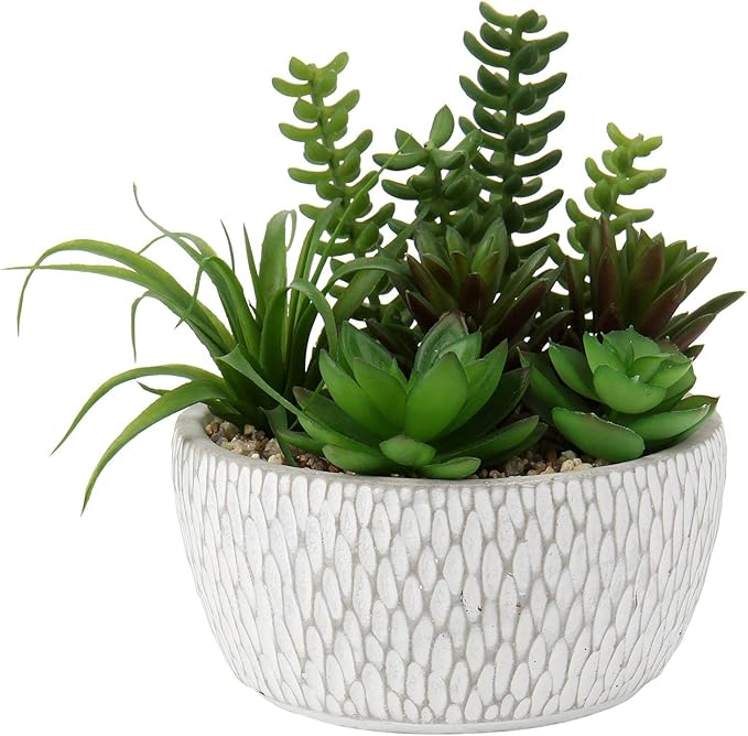 Briful Small Fake Plants Assorted Faux Succulents in Pots Realistic Succulents Plants Artificial with Cement Pots for Home Table Office Desk Bathroom Shelf Living Room Decor-VerdiqueGarden