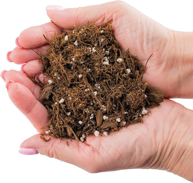 Premium Gardenera House Plant Potting Mix | Fern + New Zealand Bark + Perlite | Great for Pothos, Spider Plants, Montsera, Philodendron, English Ivy - 5 Quart Bag-VerdiqueGarden